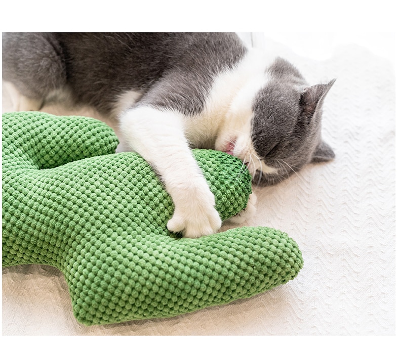 Cactus Catnip Cat  Plush Toy